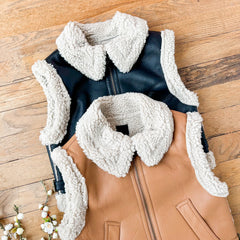 Winter Walks Vest