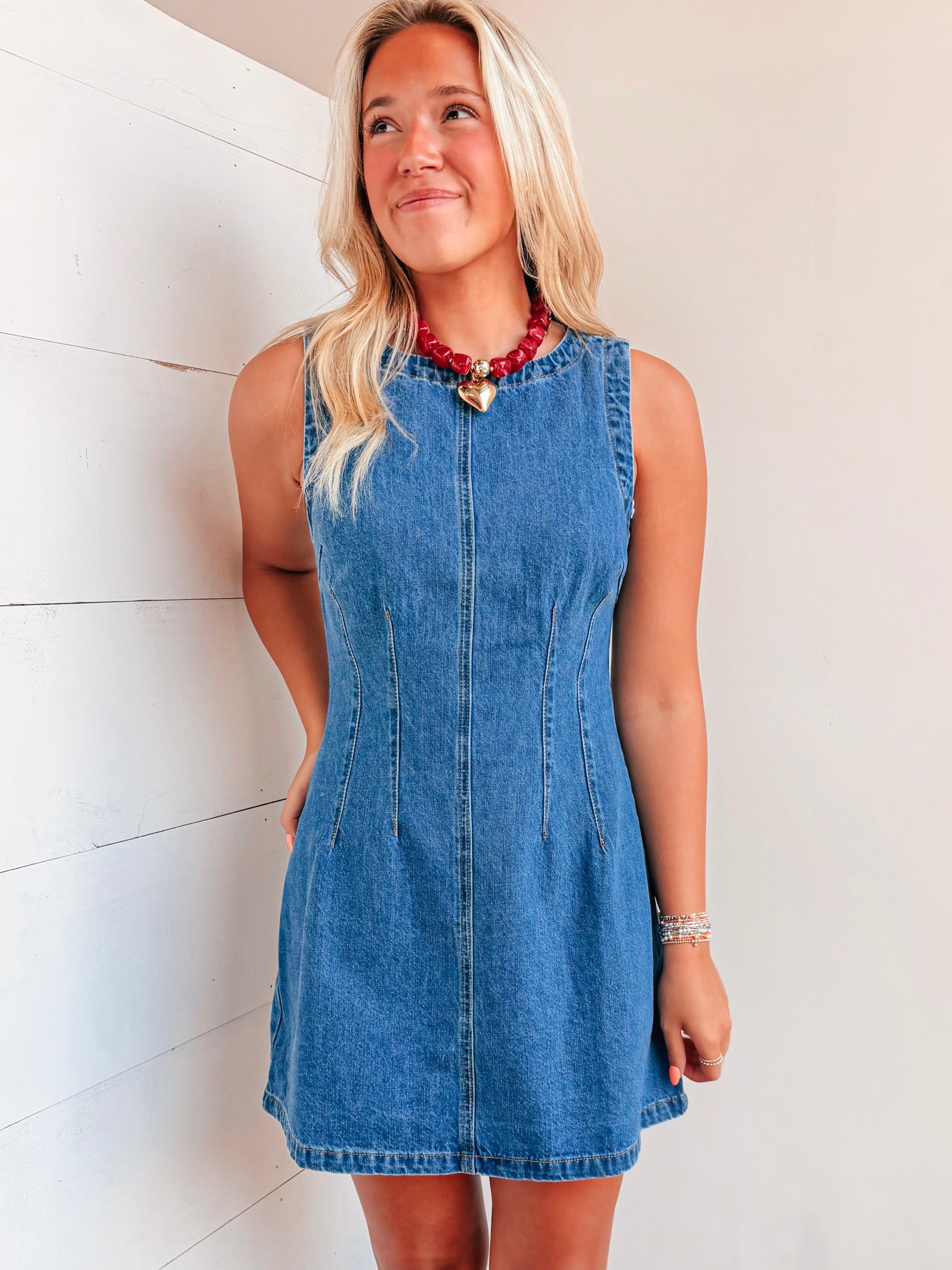 Savannah Denim Dress