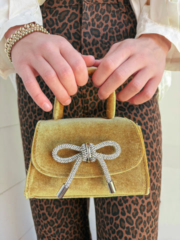 Sabrina Velvet Mini Purse