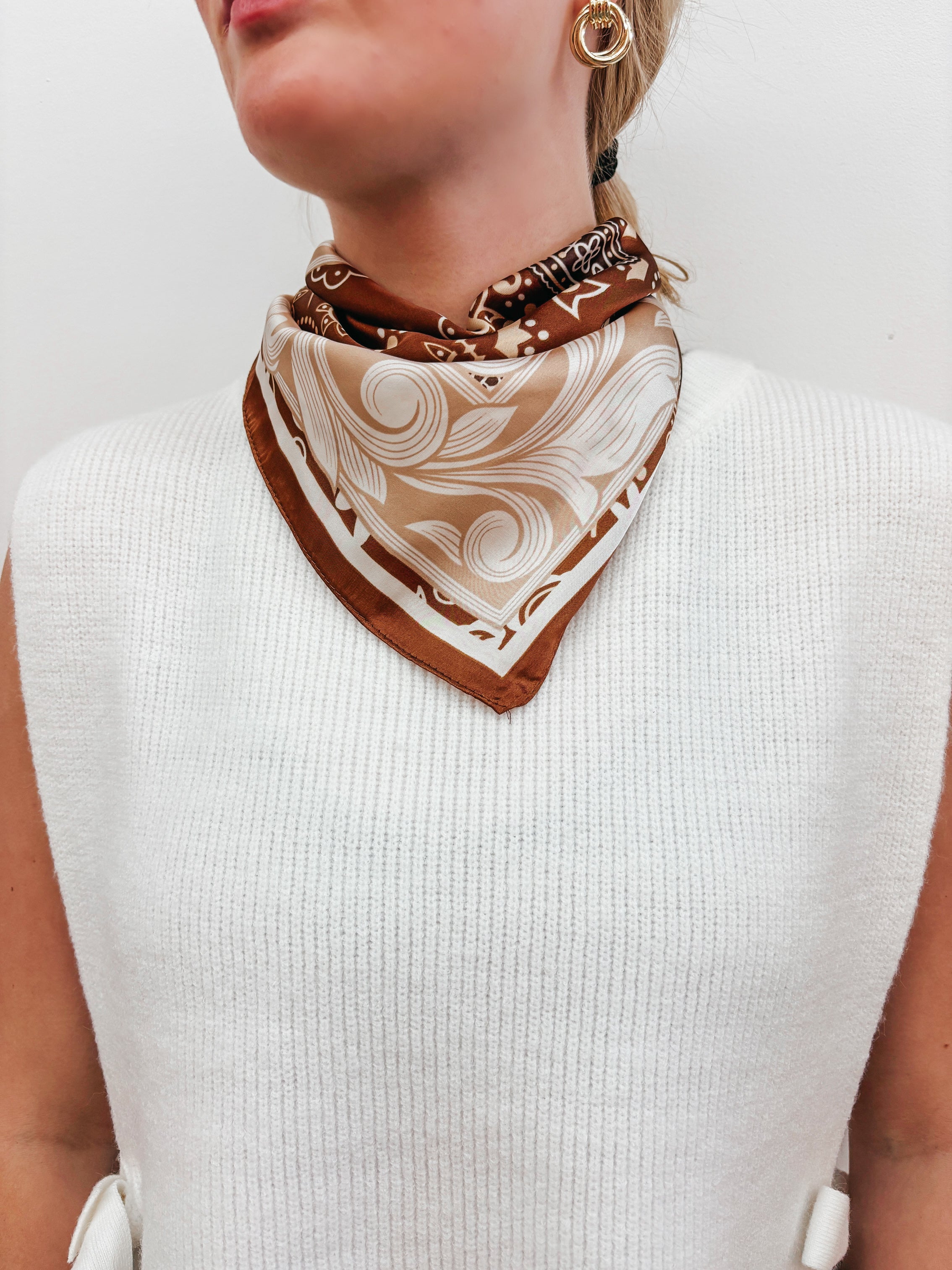 The Brown Paisley Scarf