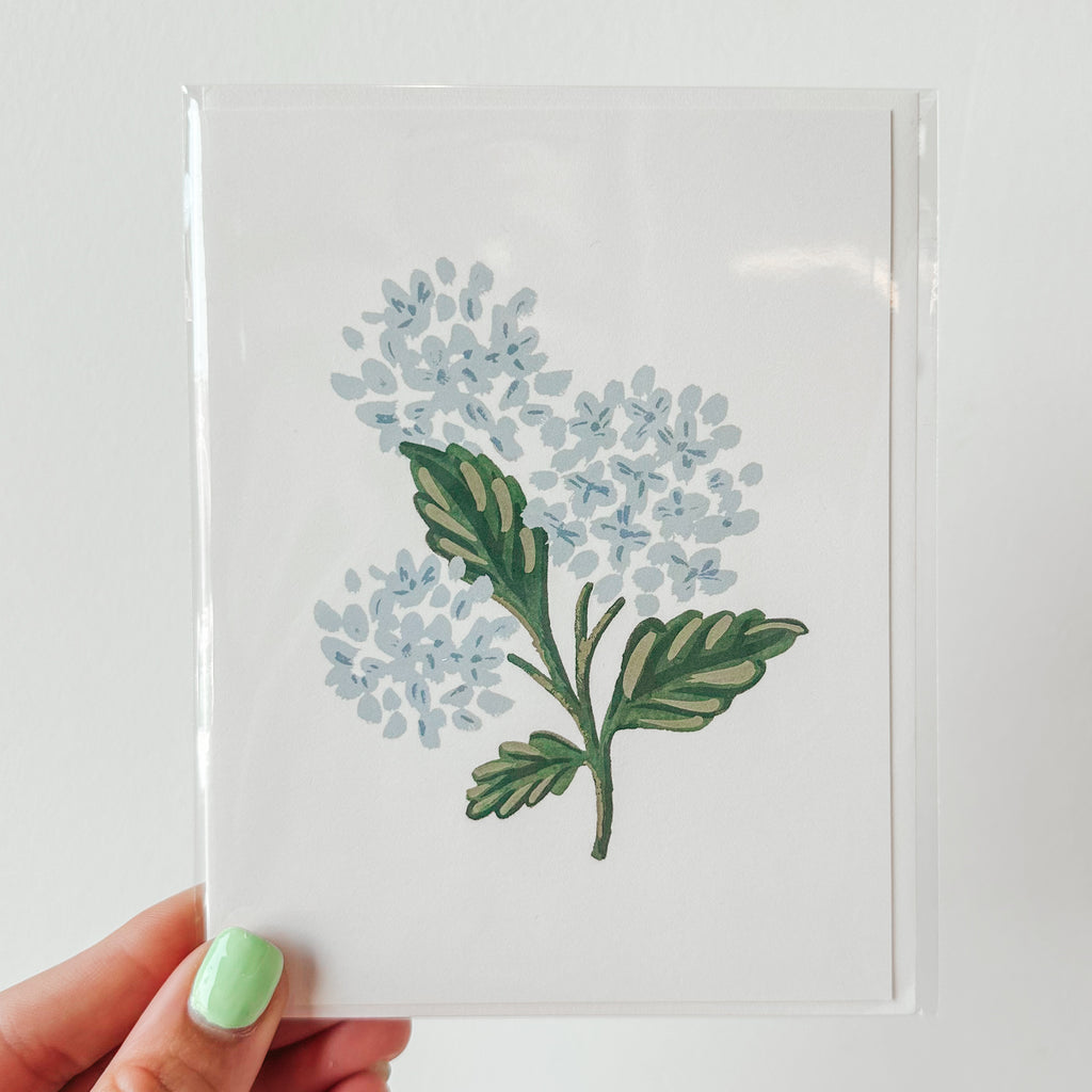 Rifle Paper Blank Cards with Envelope
