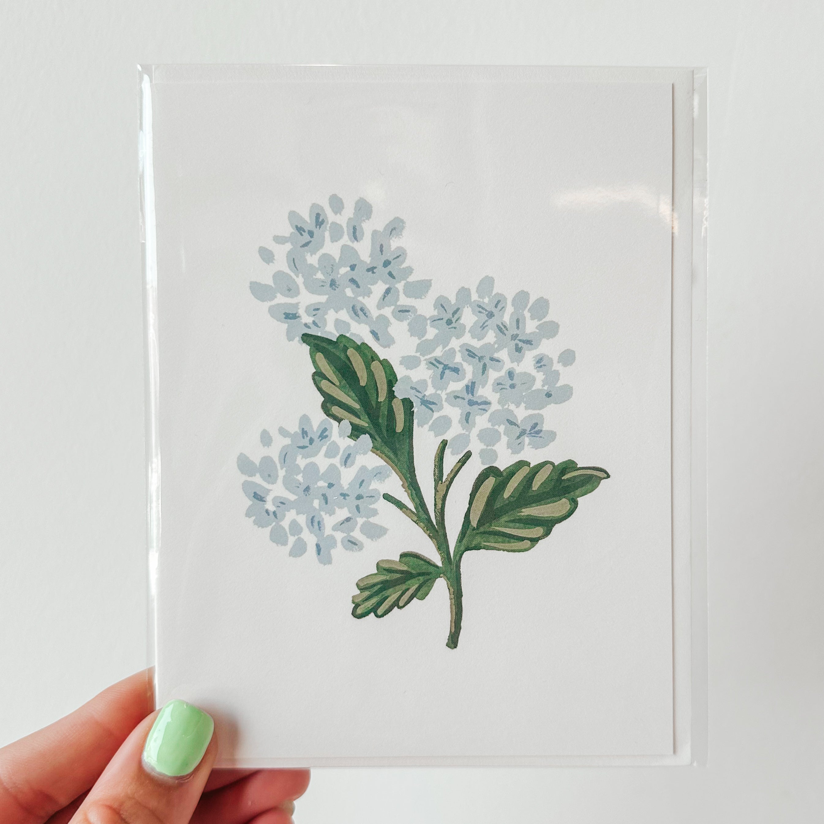 Rifle Paper Blank Cards with Envelope