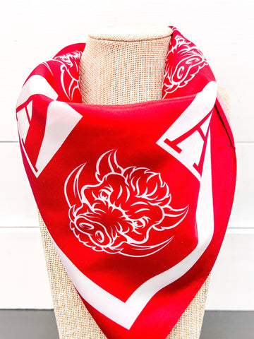Arkansas Scarf
