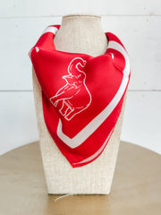 Alabama Scarves